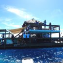 클라우드나인(cloud9) 이미지