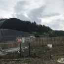 개들랜드 이미지