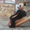 소호로L 이미지