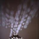 백암2천 이미지