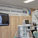 계양SKY동물메디컬센터 이미지