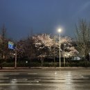 고양대로1432번길 이미지