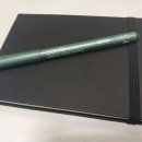 수채펜드로잉(야간반) | 코픽 멀티라이너(올리브) 구매&amp;사용후기 : 다양한 컬러 라인업, 수채스케치에도 강추