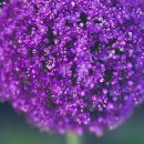 크로바 펜션 이미지