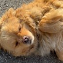 캠프오후4시 이미지