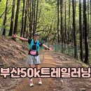 부산 50k 트레일러닝 대회 여자 초보 완주 후기