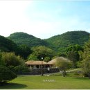 진도 운림산방 Daum카페