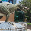 서대문자연사박물관 이미지