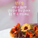 힐링 행복열차 출발~340 이미지