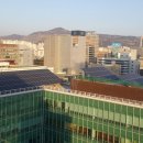 삼성태양광발전소 이미지