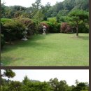 정원이 아름다운 집 이미지