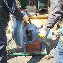 한영약품 이미지