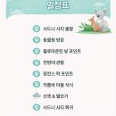 블루마운틴 | 시드니 블루 마운틴/투어 후기