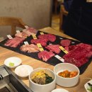 비프라우드 | [도쿄여행2509]에이징비프 도쿄 : 특별한 날 야키니쿠...여기로! 신주쿠에서 생일파티한 후기٩( ᐖ )و