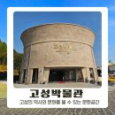 고성 여행 추천 가족끼리 방문하기 좋았던 고성박물관 후기
