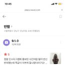 헤어고데기 네이버블로그