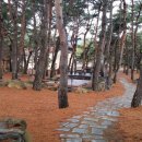 솔밭야영장 이미지