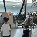 야니랜드 이미지