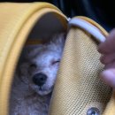 청림동물병원 이미지