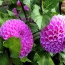 행복으로의초대 이미지