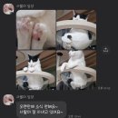 정성환동물병원 이미지