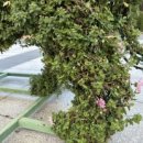 황금박쥐생태관 옆 이미지