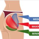 자세교정 필라테스 이미지
