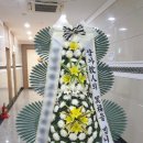 화창화원