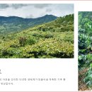 제경농장 이미지