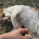 수리야 놀자 이미지