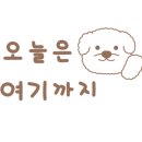 바불리옛날왕만두 이미지