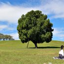 올림픽공원 이미지