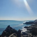 해운대전통시장 이미지