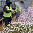 백양산 양묘장 이미지