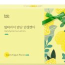 위캔디 이미지