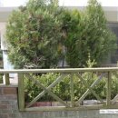 꿈별어린이집 이미지