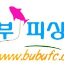 부부피싱샵