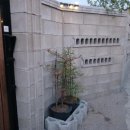 강문소소담 이미지