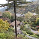 고요산책 이미지