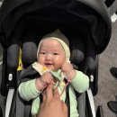 트래블시스템
