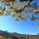 킴스아트필드미술관 이미지