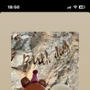 빌라누트 이미지