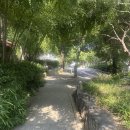 녹사평역 4번 출구 | 이태원 콩카페 빙수 대용 신메뉴 코코넛볼 후기