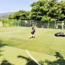 매화관광농원캠핑장 이미지