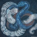 비단지음 이미지