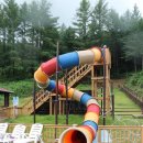 자연과힐링 이미지