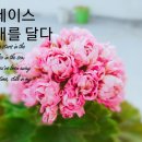 진해기술지원과(진해농업기술센터) 이미지