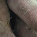 행복야채 - 구로구 개봉로17길 31 | [내돈내산] 인스타 핫플 '식명관 천원의 행복' 리얼 후기! (야채 10종 득템 성공)