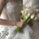 아베크 | ❣️✧･ﾟ 아베크 스튜디오 아이폰스냅 후기 ･ﾟ✧💖