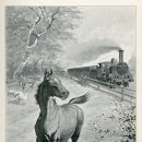 세실약국 이미지